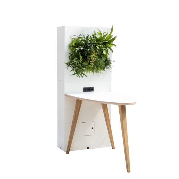 Witte houten wand gevuld met planten