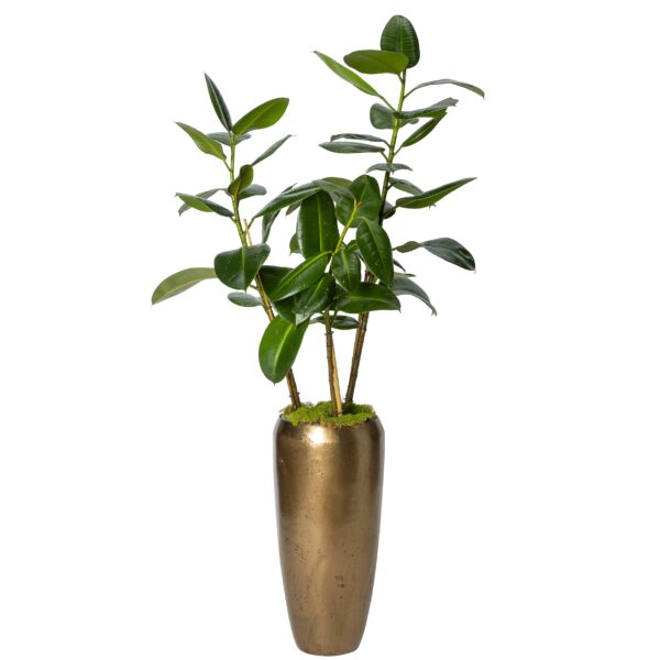 Bronzen pot (L) met groene plant