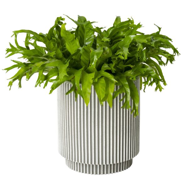 Capi pot wit met groene plant