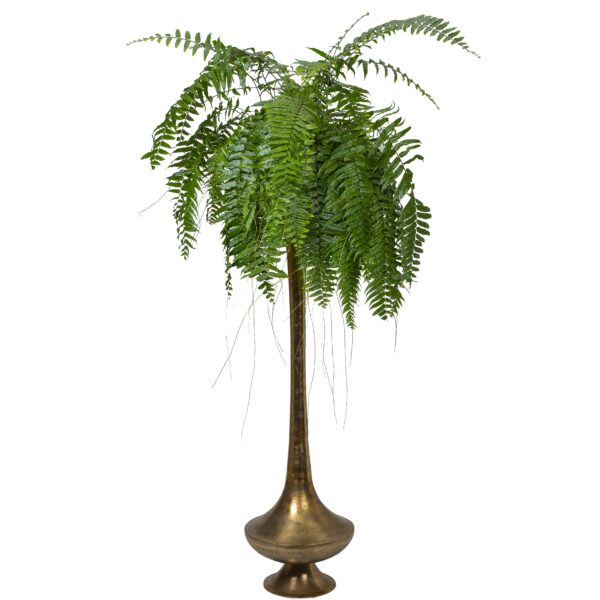 Bronzen tuitvaas (L) met groene plant