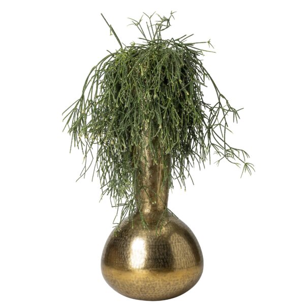 Bronzen tuitvaas (S) met groene plant